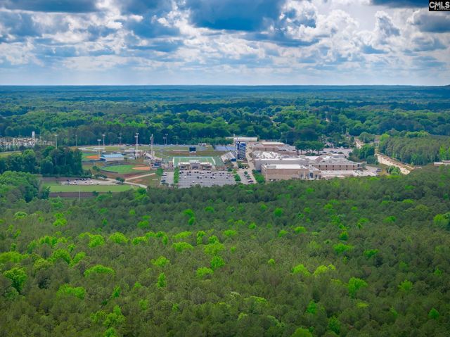 151 Eagle Chase Court, Chapin, SC 29036