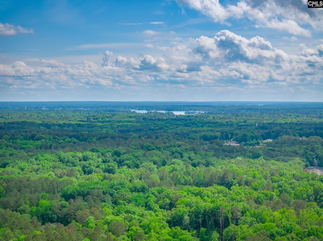 151 Eagle Chase Court, Chapin, SC 29036