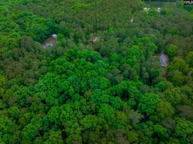 151 Eagle Chase Court, Chapin, SC 29036