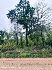 Pecan Grove Road, Woodville, MS 39669