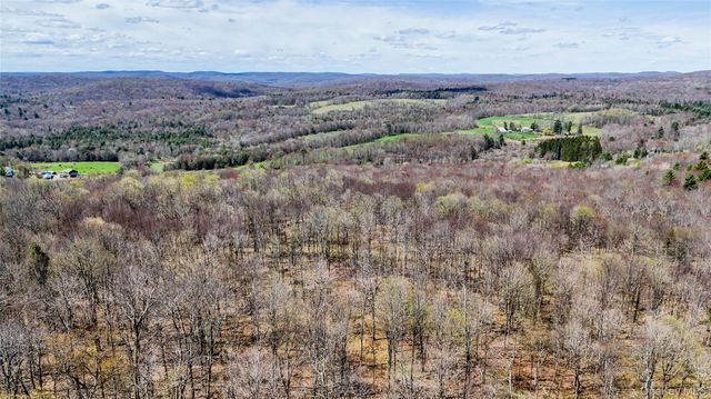 624 County Road, Fremont Center, NY 12736