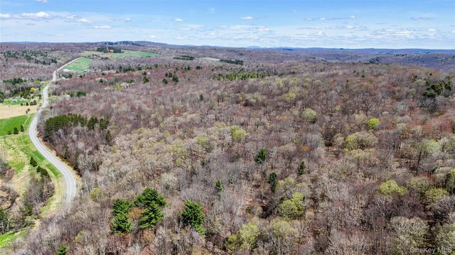624 County Road, Fremont Center, NY 12736