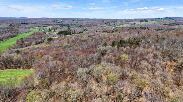 624 County Road, Fremont Center, NY 12736