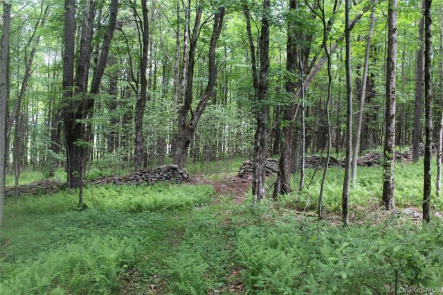 624 County Road, Fremont Center, NY 12736