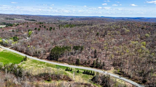 624 County Road, Fremont Center, NY 12736