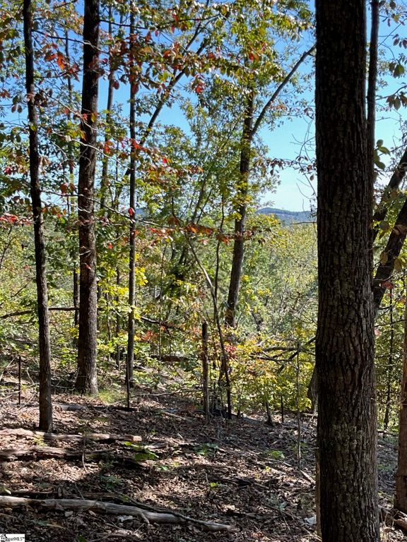 Lot 31 Highridge Parkway, Marietta, SC 29661