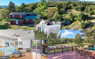 100 WOLFS LN, Fort Valley, VA 22652