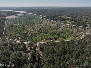 91 Acres Burge & Reyer, Poplarville, MS 39470