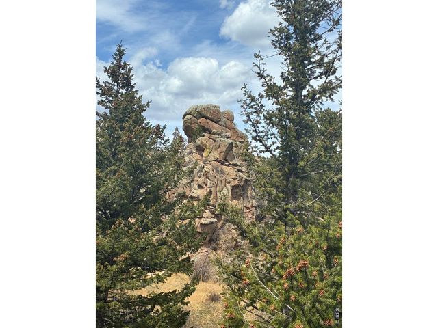 410 Monoma Rd, Red Feather Lakes, CO 80545