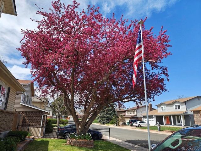 6122 W 113th Ave, Westminster, CO 80020