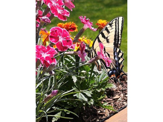 6122 W 113th Ave, Westminster, CO 80020