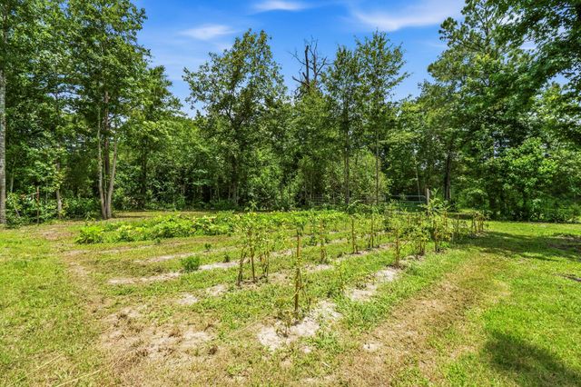 960 Towns Cemetary Road, Livingston, TX 77351