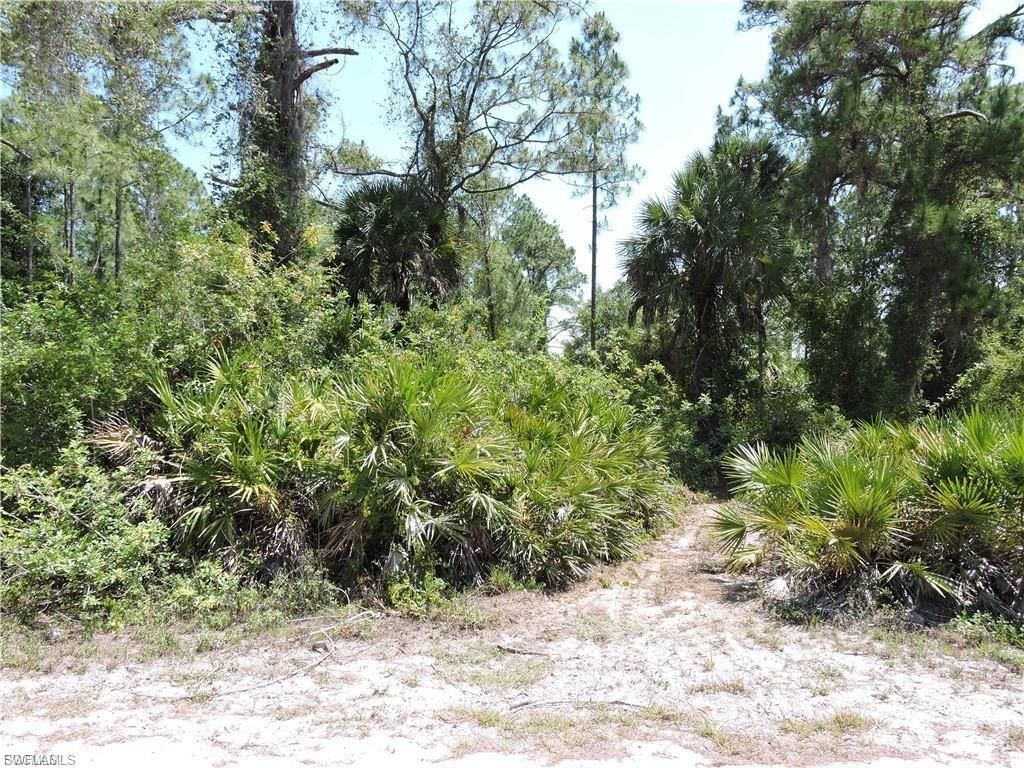 1015 Handy ST, LEHIGH ACRES, FL 33974 — photo 3