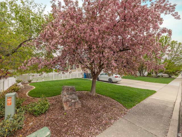 341 W 600 N, Lindon, UT 84042