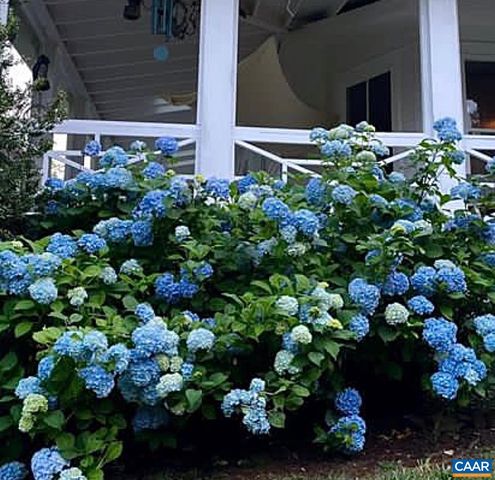 10064 HATTON FERRY LN, Scottsville, VA 24590