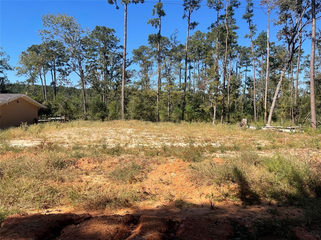 14808 Coaltown Road, Willis, TX 77378