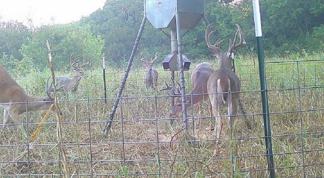 000 US Hwy 82, Sherman, TX 75092
