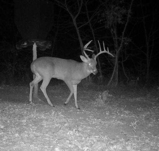 000 US Hwy 82, Sherman, TX 75092