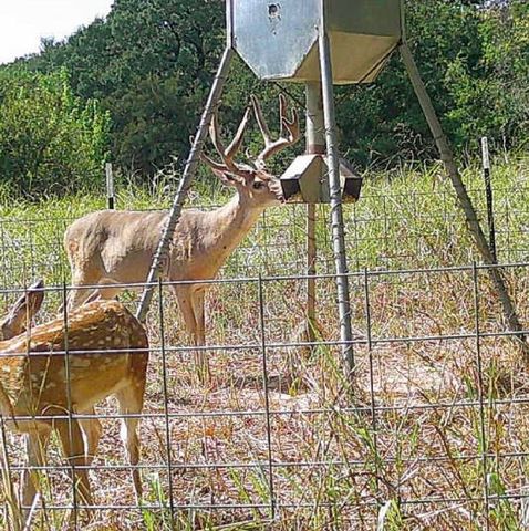 000 US Hwy 82, Sherman, TX 75092