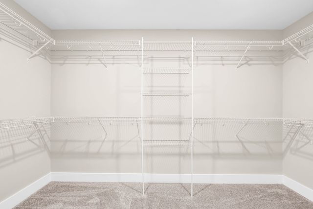 251 Switchgrass Drive, Clarksville, TN 37042