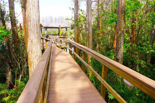 20921 HAULOVER COVE F5, Lutz, FL 33558