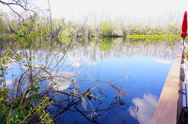 20921 HAULOVER COVE F5, Lutz, FL 33558