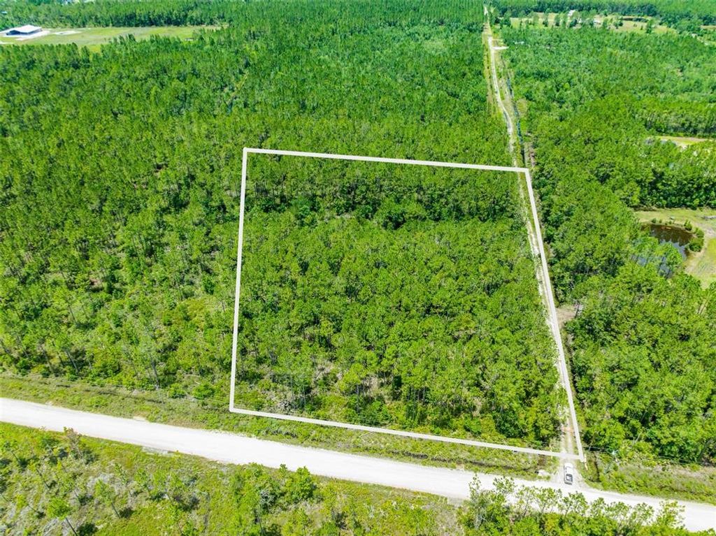 CHESSER HAMMOCK ROAD, Pierson, FL 32180