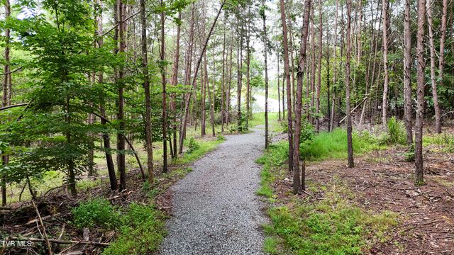 1925 Harbor Lane, Dandridge, TN 37725