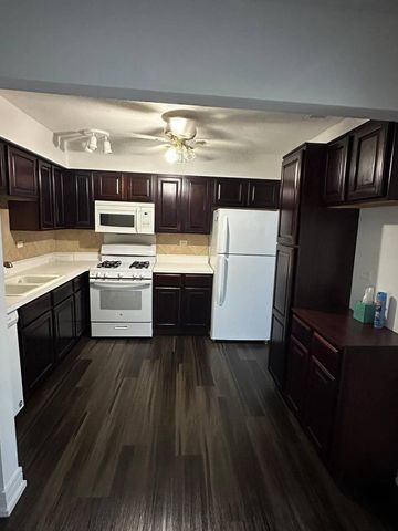 1100 E Randville Drive 110, Palatine, IL 60074