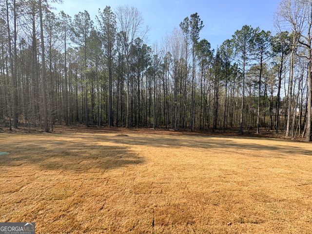 85 Marsh Hawk Court 5-131, Senoia, GA 30276