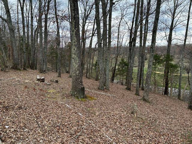 130 Clement St, Big Sandy, TN 38221