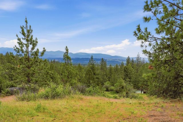 16107 N AUSTIN Rd, Spokane, WA 99208