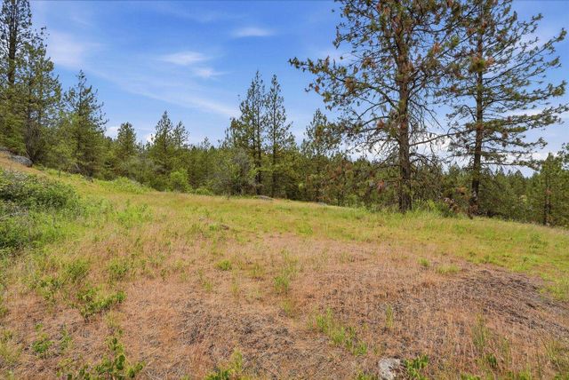 16107 N AUSTIN Rd, Spokane, WA 99208