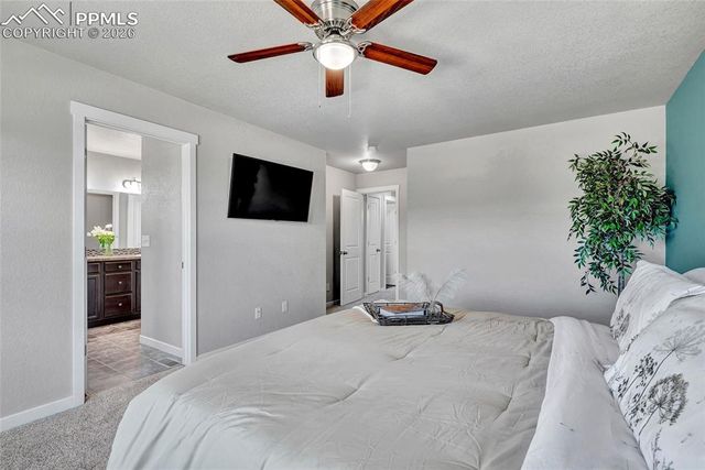 7363 Peachleaf Drive, Colorado Springs, CO 80925