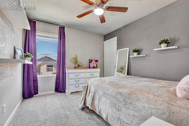 7363 Peachleaf Drive, Colorado Springs, CO 80925