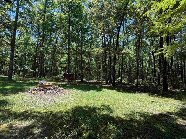 25100 Blue Gill Dr, Roland, AR 72135