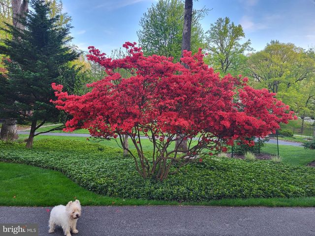 1403 ELLENGLEN RD, Towson, MD 21286