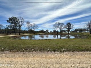 N New Arbor Lot 18, Poplarville, MS 39470