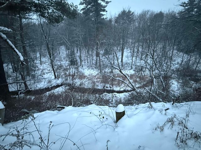 10 Greenleaf Court, Belmont, NH 03220