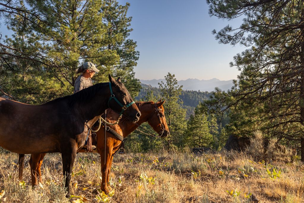 Bitterroot Highlands at Willow Creek - NHN Willow Creek Rd, Corvallis, MT 59828 photo 11
