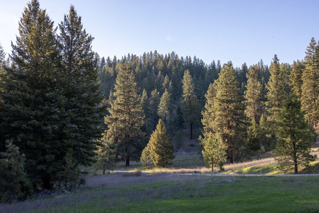 Bitterroot Highlands at Willow Creek - NHN Willow Creek Rd, Corvallis, MT 59828 photo 12
