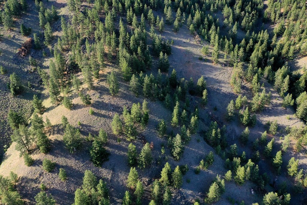 Bitterroot Highlands at Willow Creek - NHN Willow Creek Rd, Corvallis, MT 59828 photo 13