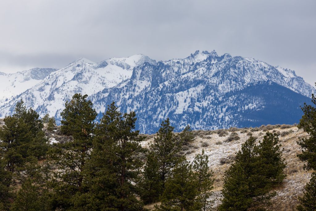 Bitterroot Highlands at Willow Creek - NHN Willow Creek Rd, Corvallis, MT 59828 photo 14