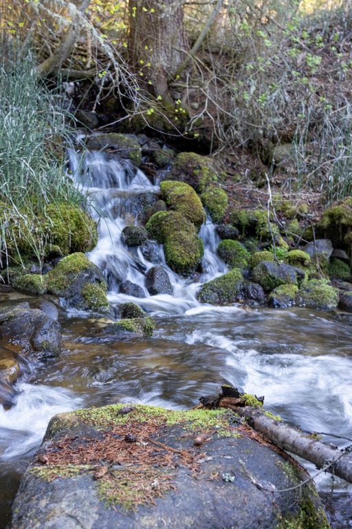 Bitterroot Highlands at Willow Creek - NHN Willow Creek Rd, Corvallis, MT 59828 photo 15