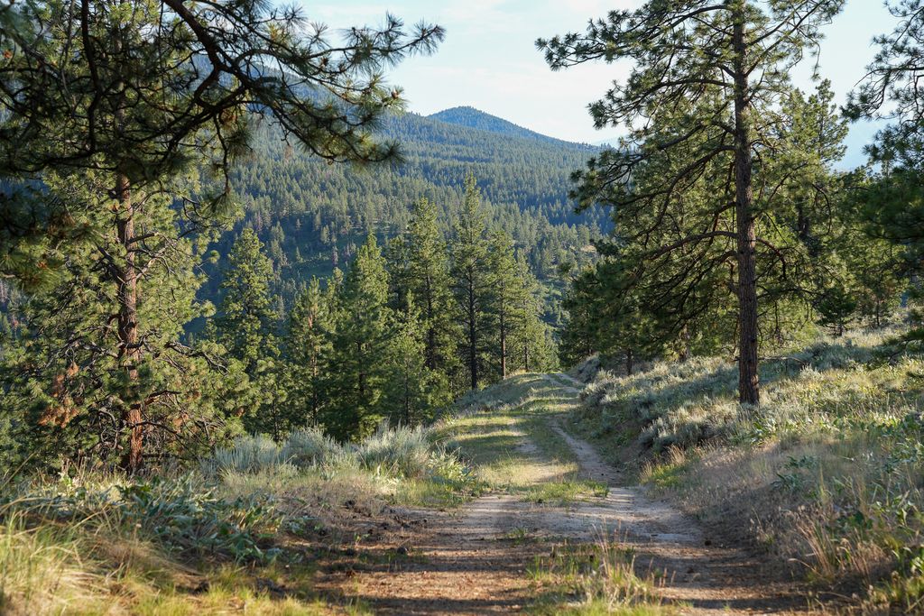 Bitterroot Highlands at Willow Creek - NHN Willow Creek Rd, Corvallis, MT 59828 photo 16