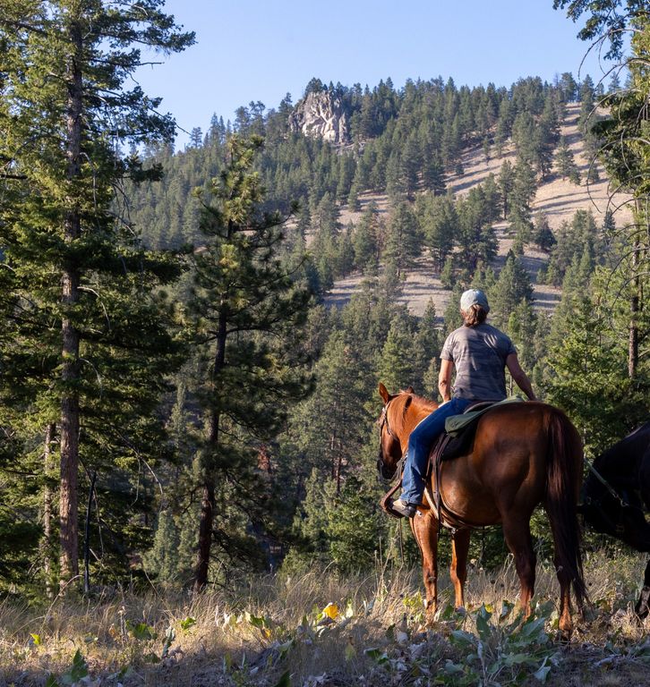 Bitterroot Highlands at Willow Creek - NHN Willow Creek Rd, Corvallis, MT 59828 photo 2