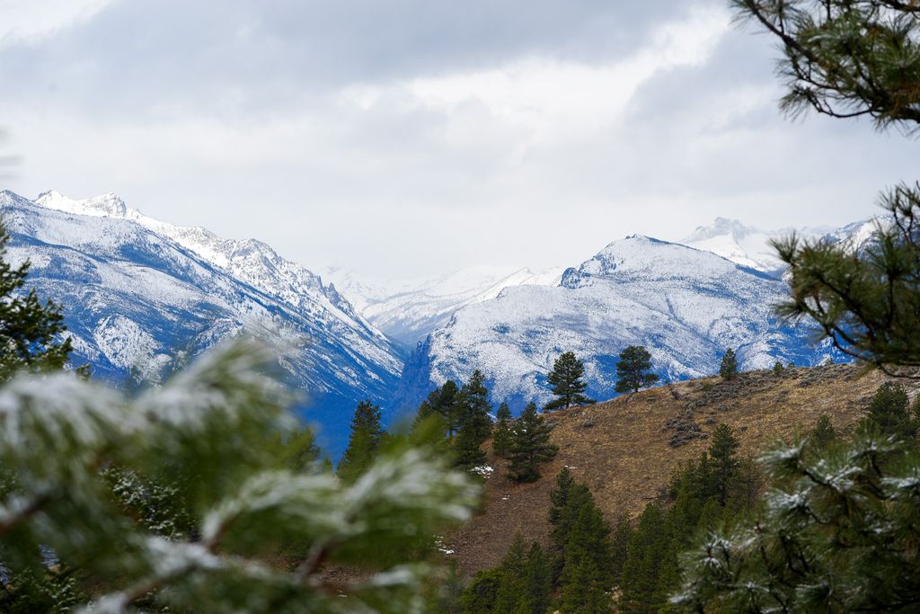 Bitterroot Highlands at Willow Creek - NHN Willow Creek Rd, Corvallis, MT 59828 photo 27