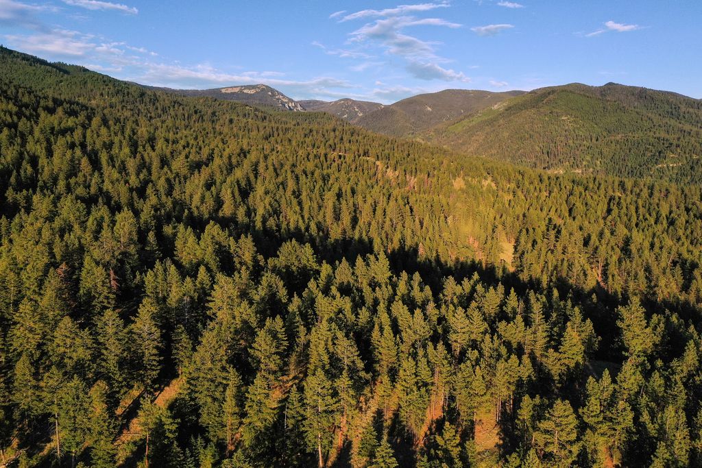 Bitterroot Highlands at Willow Creek - NHN Willow Creek Rd, Corvallis, MT 59828 photo 3