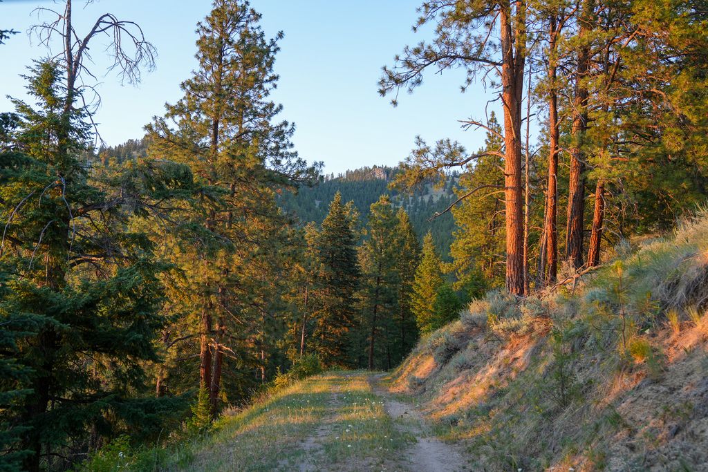 Bitterroot Highlands at Willow Creek - NHN Willow Creek Rd, Corvallis, MT 59828 photo 30