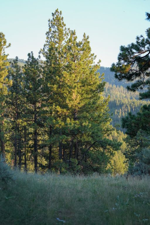 Bitterroot Highlands at Willow Creek - NHN Willow Creek Rd, Corvallis, MT 59828 photo 34